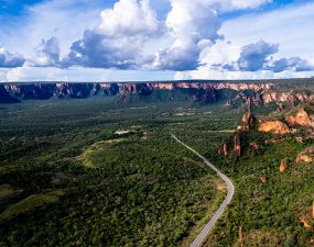 Procon-MT alerta sobre exercício ilegal de guia de turismo; registro profissional é obrigatório