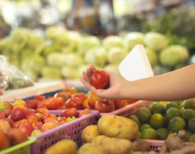 IDEC mapeia feiras pelo Brasil para fortalecer a agricultura orgânica